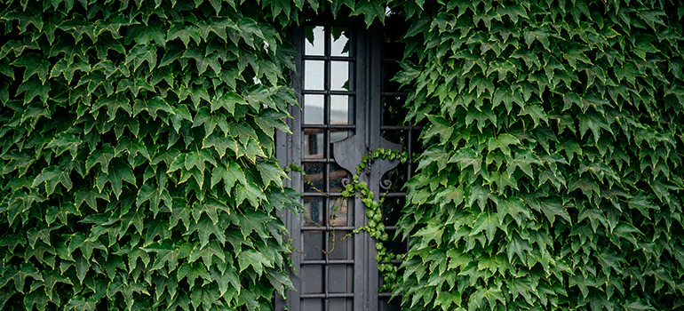 Garden Gate Repair in Lake Worth, FL