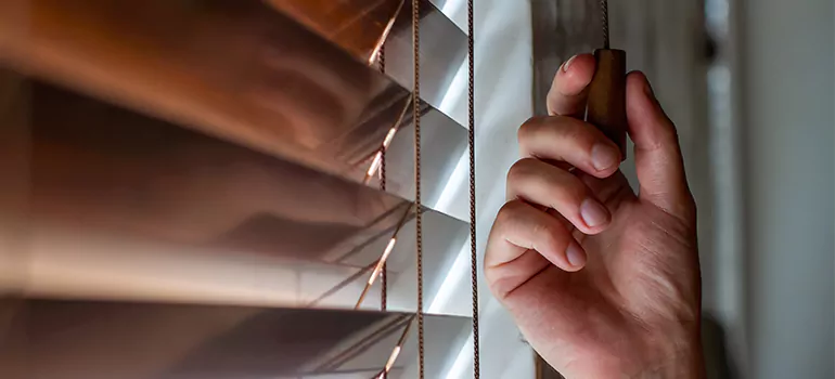 Double Roller Blinds in Lake Worth, FL