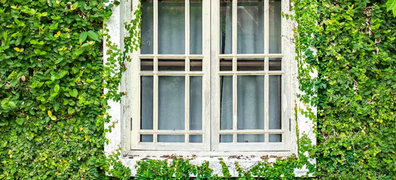 Garden Window Repair Near Me in Lake Worth, FL