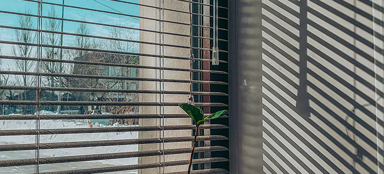 Commercial Window Blinds in Lake Worth, FL