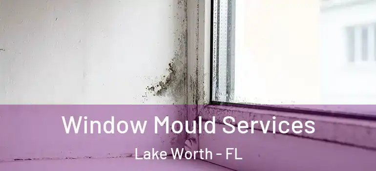  Window Mould Services Lake Worth - FL